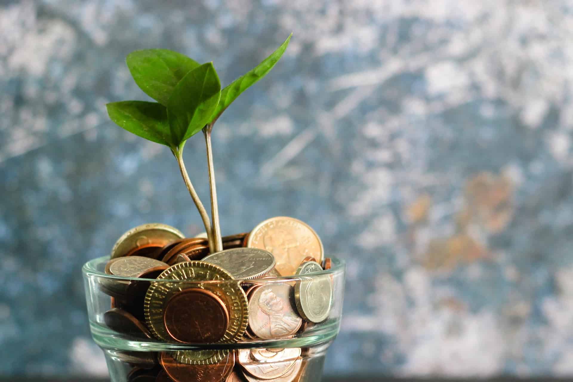 Чому в Ш++ навчають безкоштовно? ✨